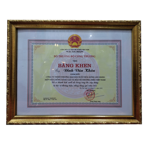 V. Thành tựu của công ty